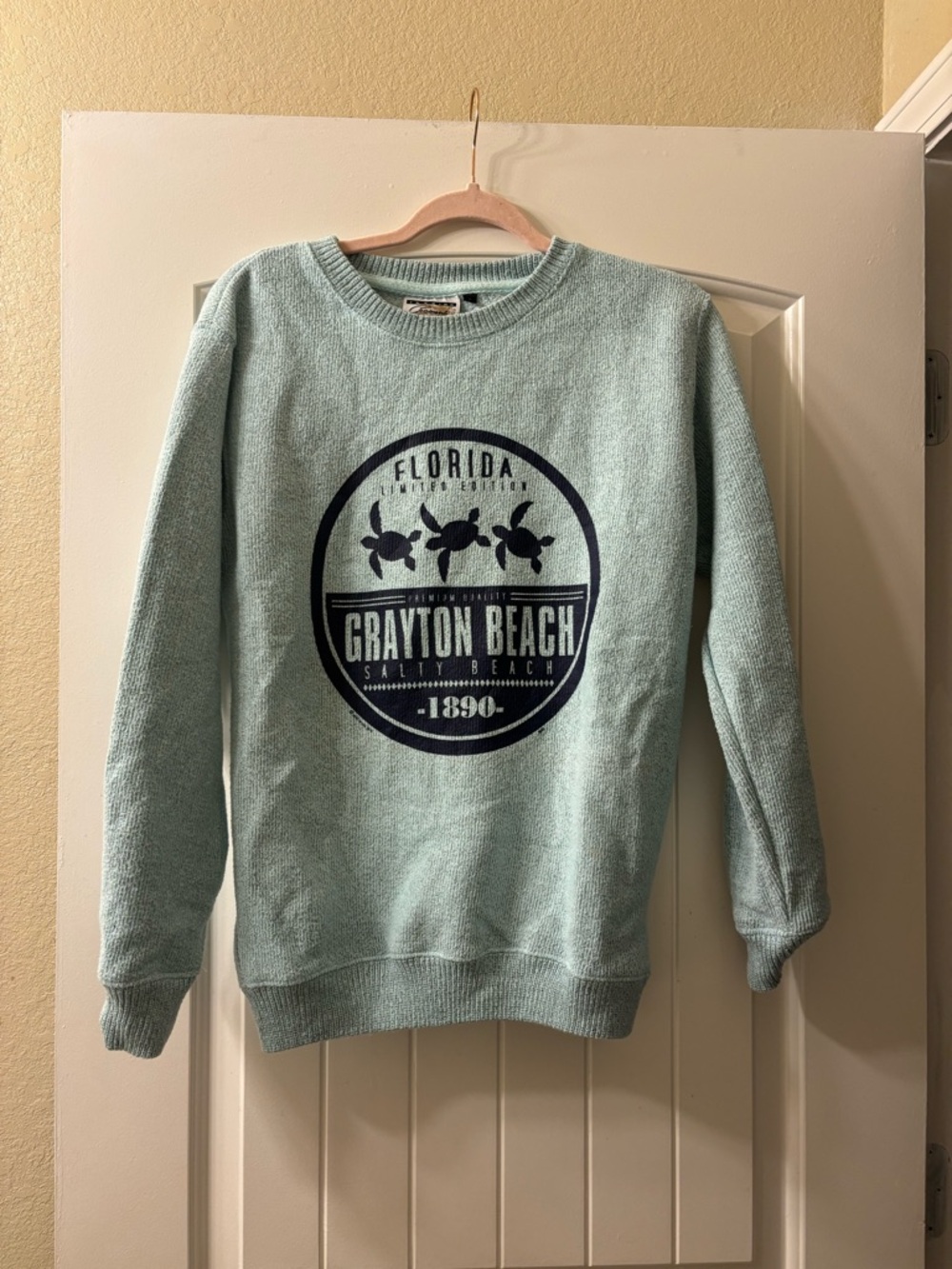 Grayton Beach Graphic Crewneck Sweatshirt - Light Seafoam